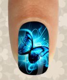 Borboleta Azul